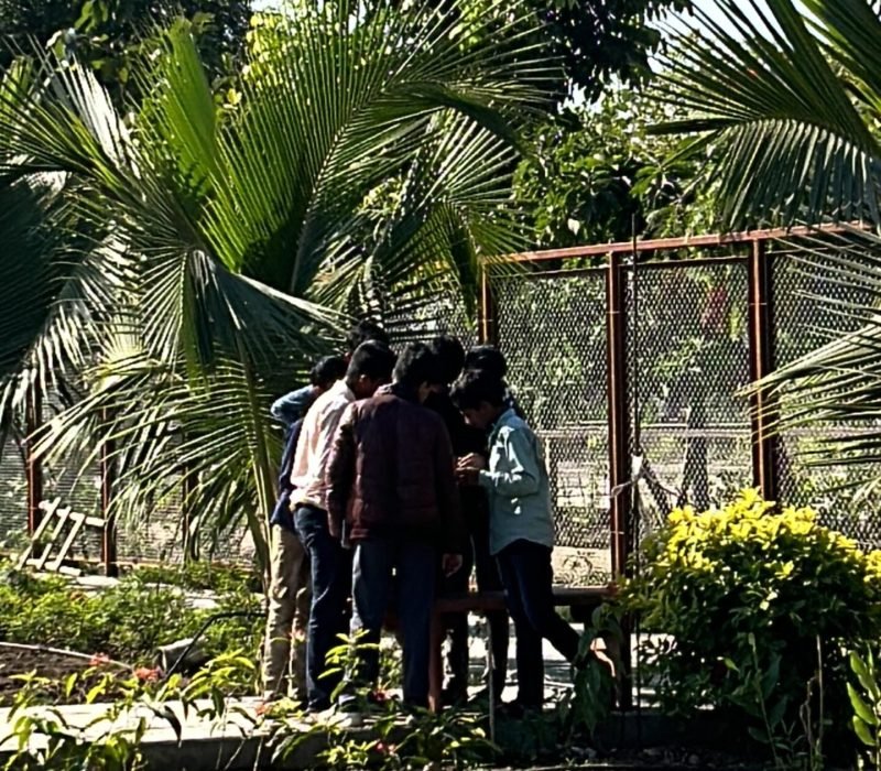 WhatsApp Image 2025-09-27 at 5.30.49 PM